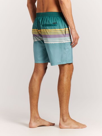 PROTEST Board Shorts 'PRTLatika' in Green