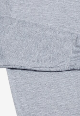 fernell Pullover in Grau