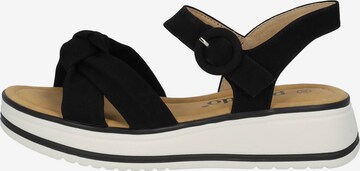 Palado Sandals in Black