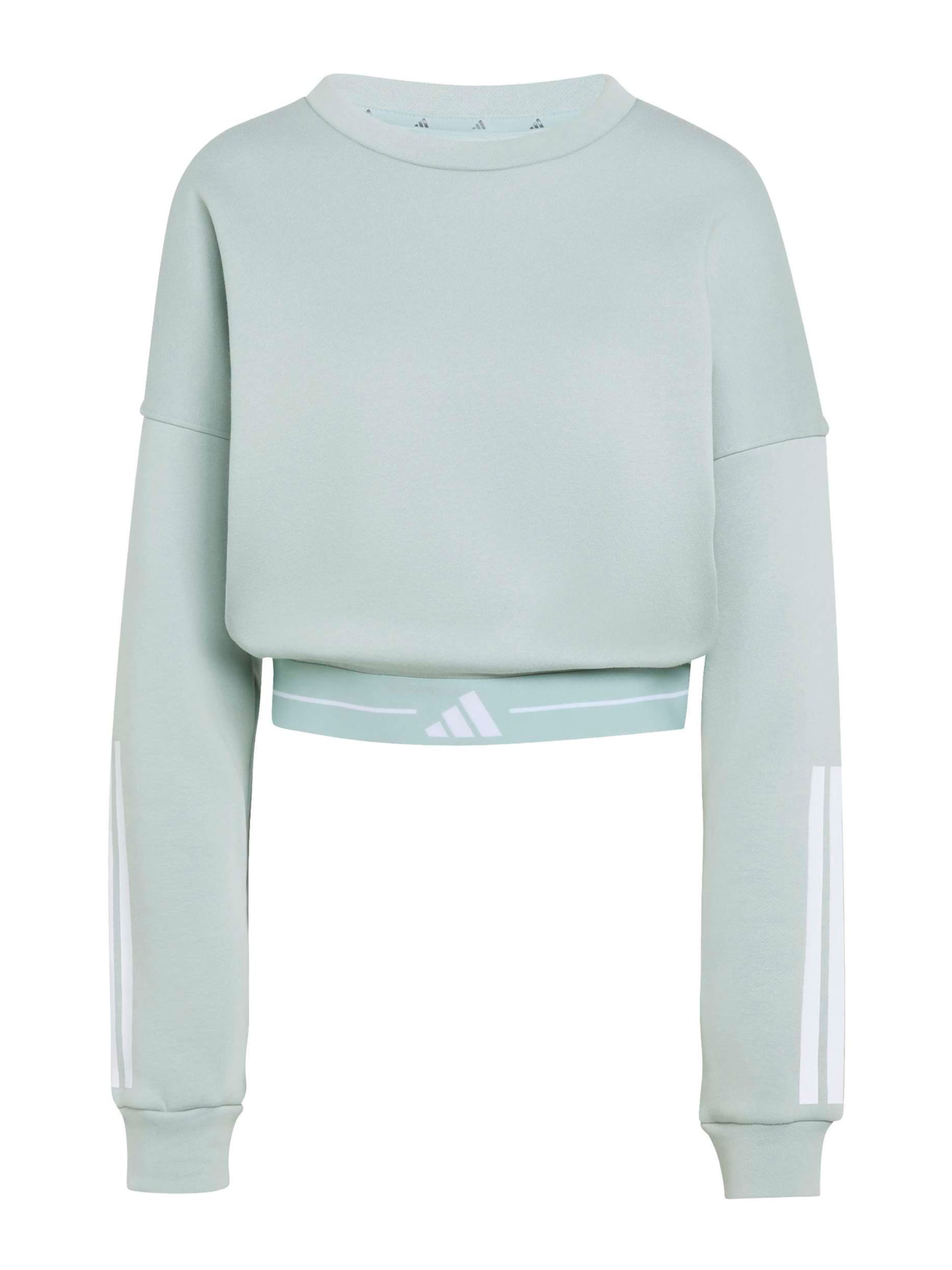 ADIDAS PERFORMANCESportska sweater majica 'HYG' - plava boja: prednji dio