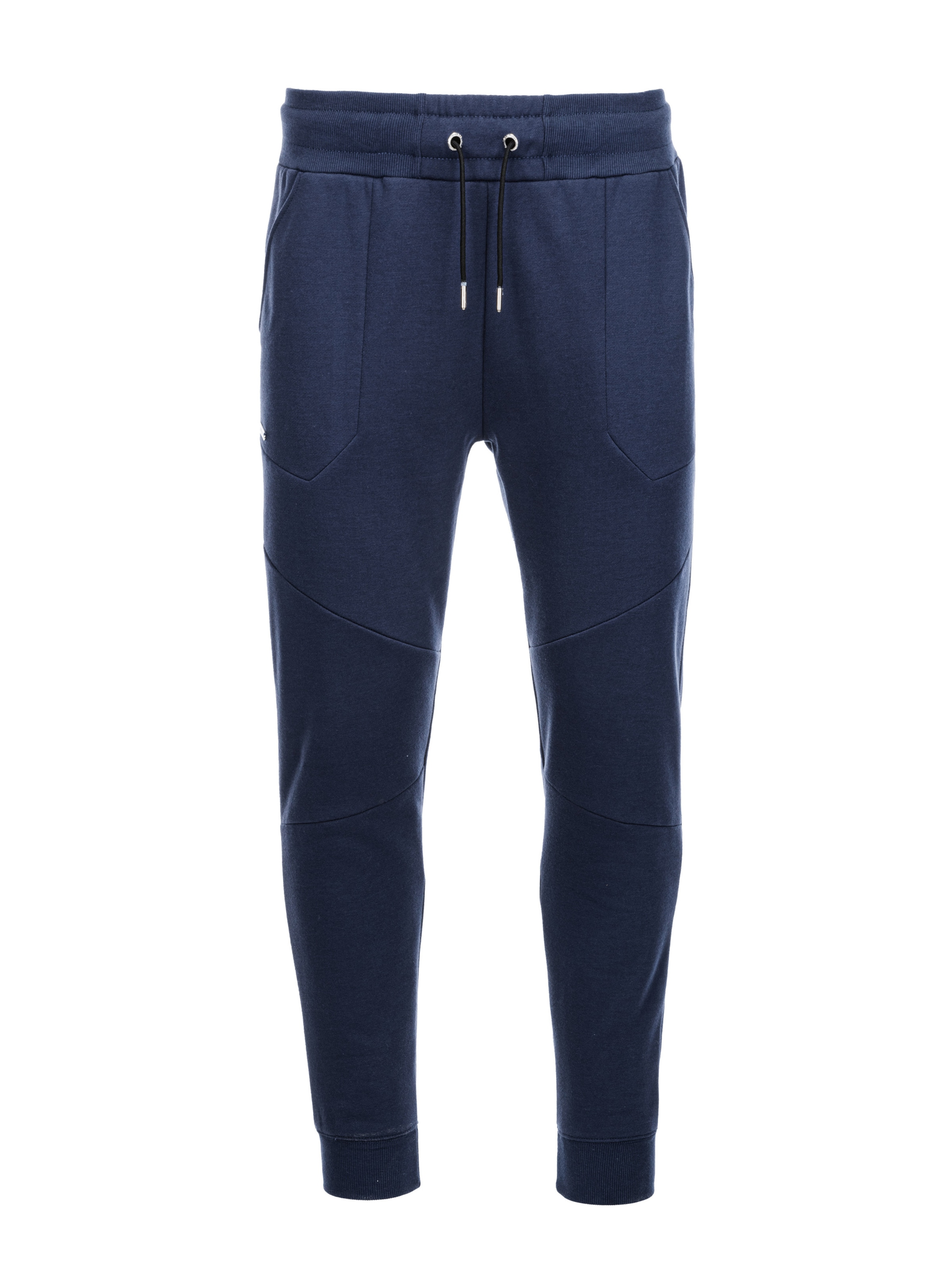 Ombre Pants 'PASK-22FW-008' in Blue: front