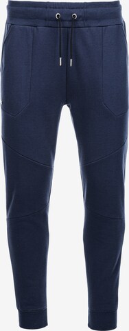 Pantalon 'PASK-22FW-008' Ombre en bleu : devant