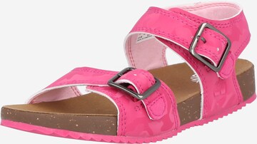 TIMBERLAND Sandals & Slippers 'Castle Island' in Pink: front