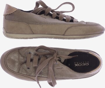 GEOX Sneakers & Trainers in 36 in Beige: front