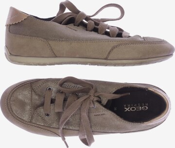 GEOX Sneaker 36 in Beige: predná strana