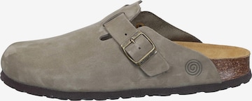 DR. BRINKMANN Clogs 'Nerpio' in Grey: front