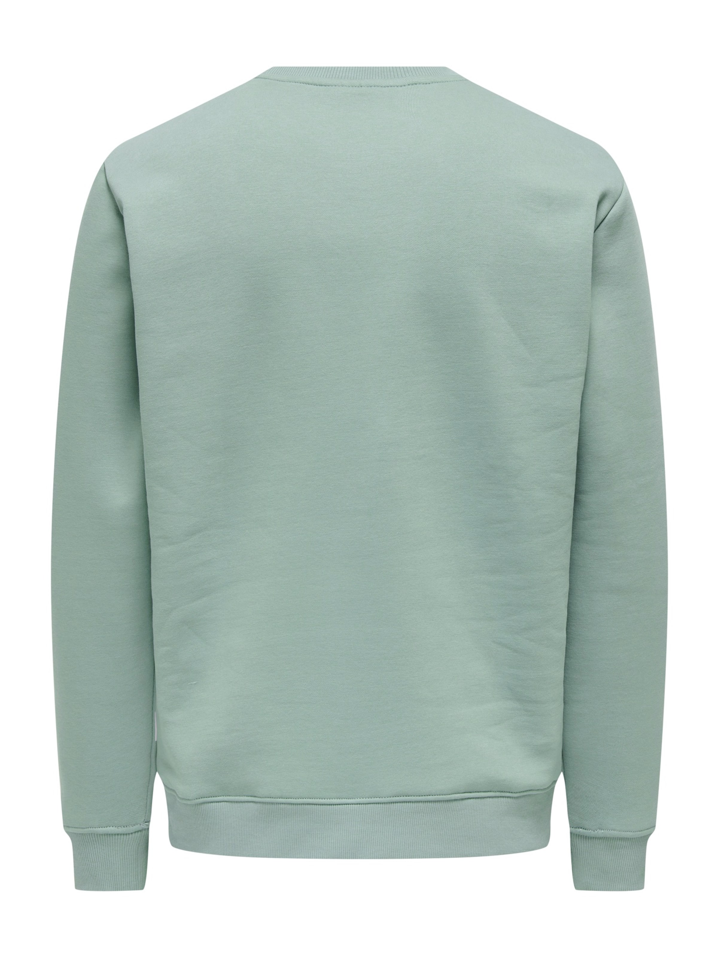 Only & Sons Sweatshirt 'ONSCONNOR' i grøn