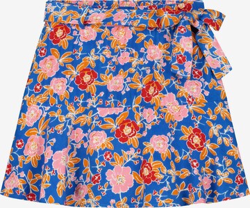 Shiwi Skirt 'BILBAO' in Blue: front