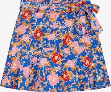 Shiwi Skirt 'BILBAO' in Blue: front