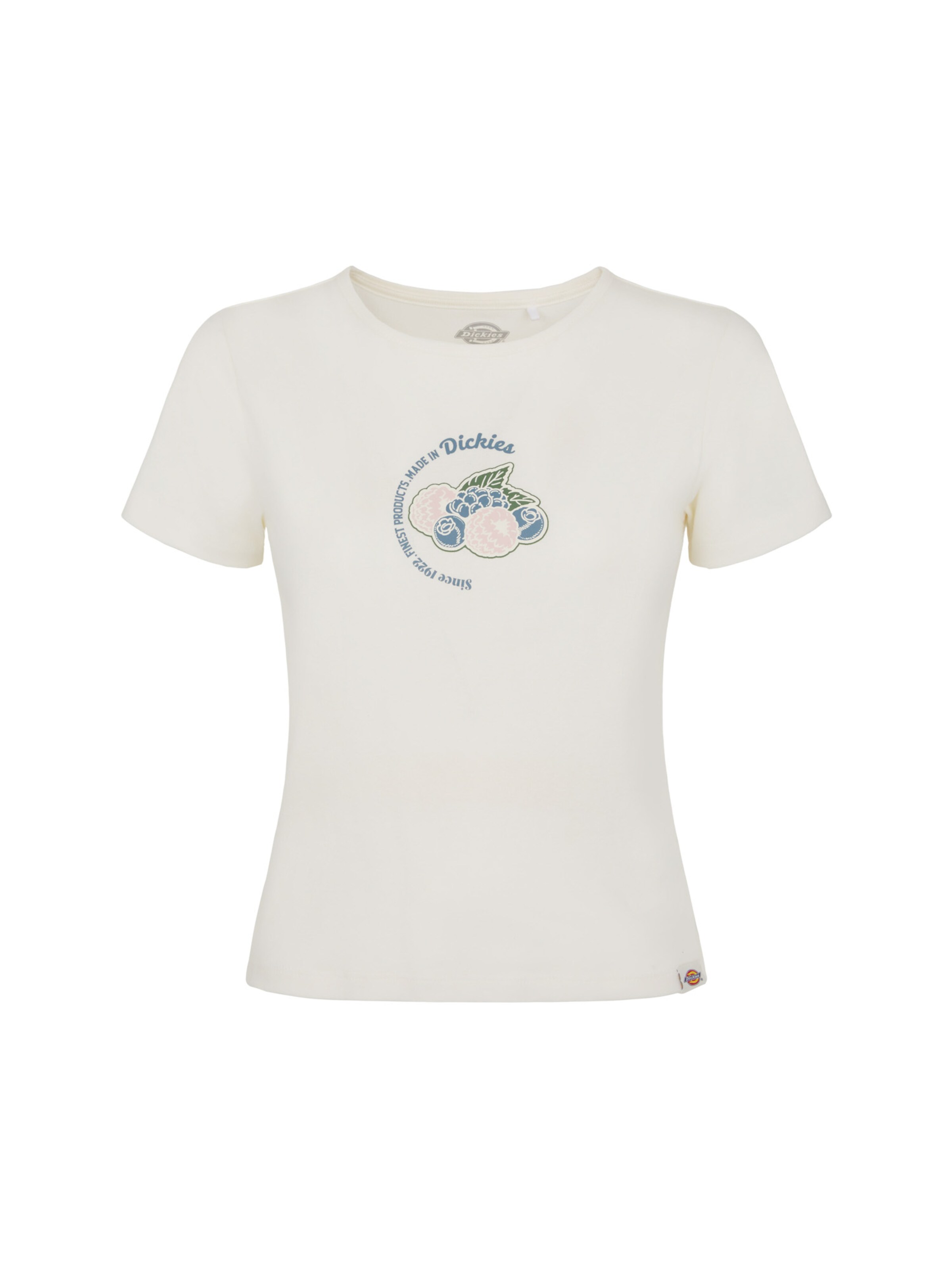 DICKIES Тениска 'ALTOONA' в бяло: отпред