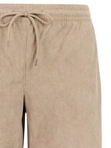 PROTEST Regular Trousers 'PRTNatty' in Brown