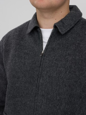 Veste d’hiver 'DXFynballa' Dxnmxrk en gris