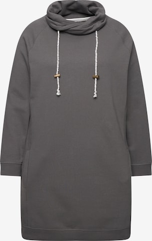 Robe Ulla Popken en gris : devant