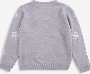 Threadgirls Sweater 'Diva' in Grey