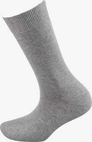 camano Socken in Grau