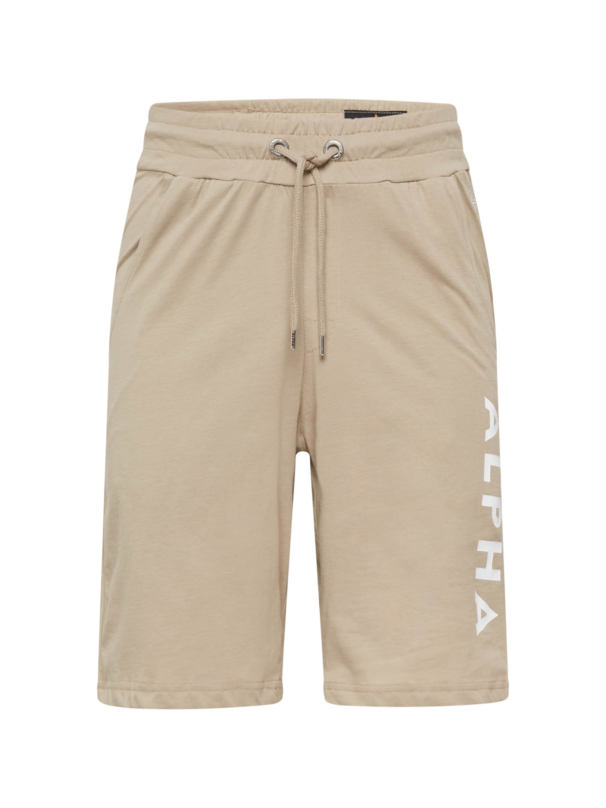 ALPHA INDUSTRIES Regular Trousers in Beige: front