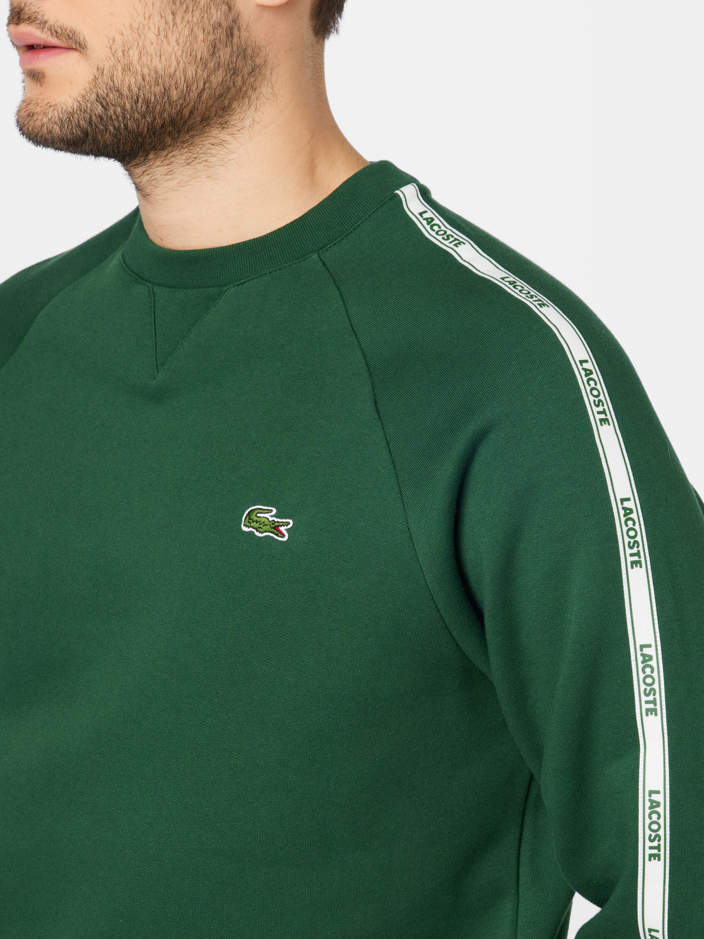 lacoste sweatshirt