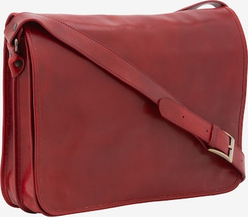 Viola Castellani Crossbody bag in Brown: front