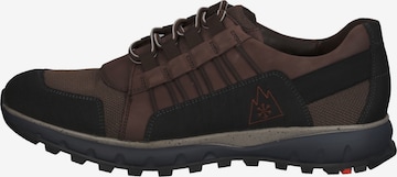 LLOYD SELECTED Sneakers in Brown