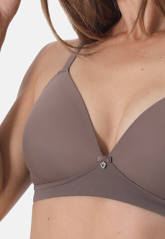 sassa Triangle Bra 'SENSUAL BEAUTY' in Brown
