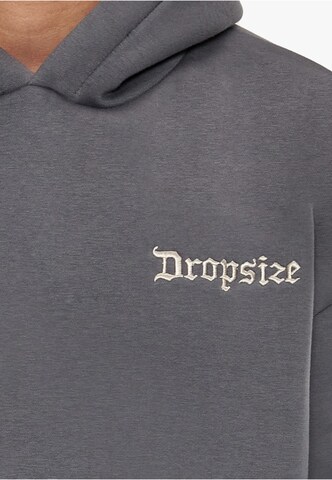 Sweat-shirt Dropsize en gris