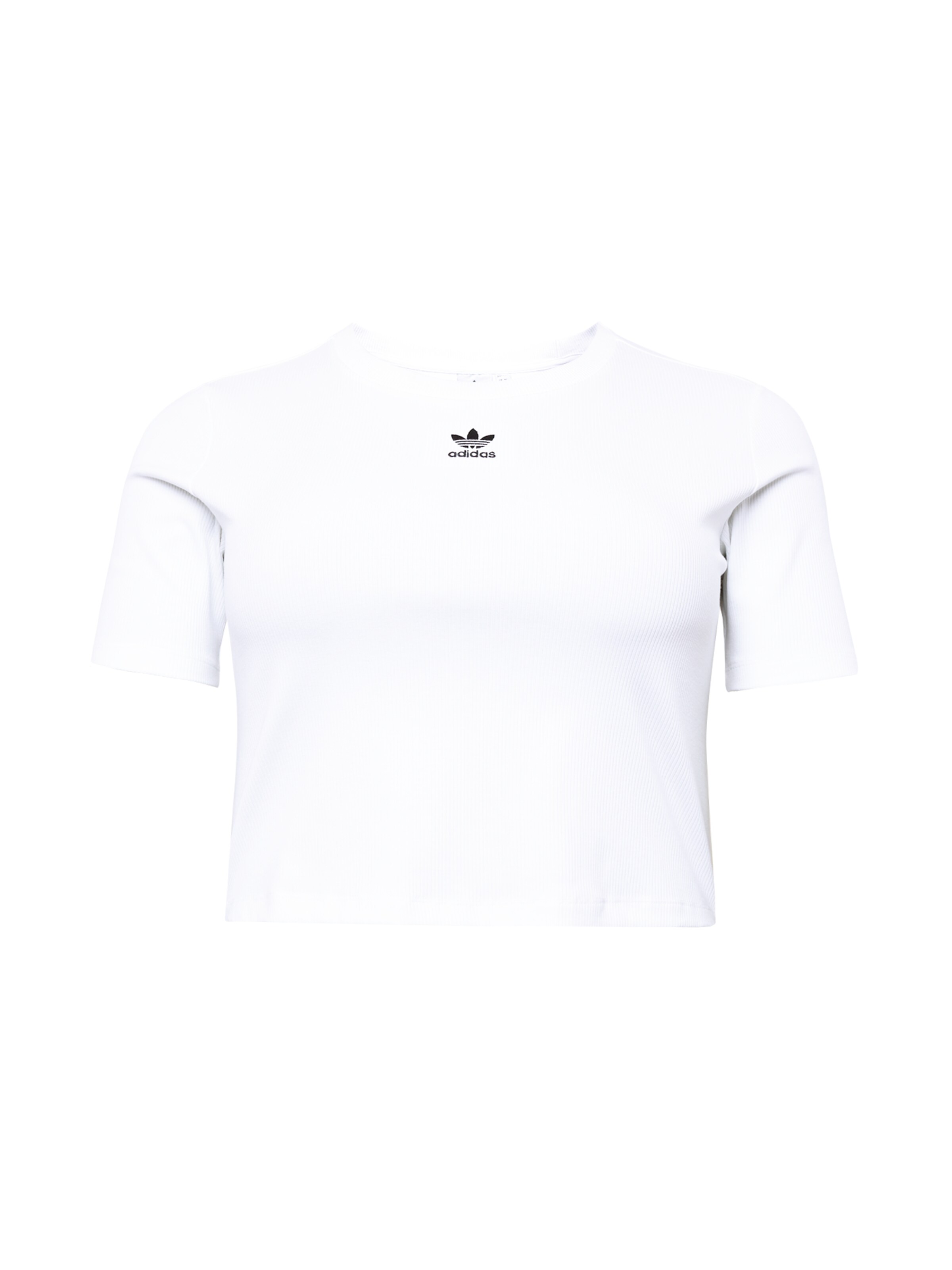 ADIDAS ORIGINALS taglie comode » online su ABOUT YOU