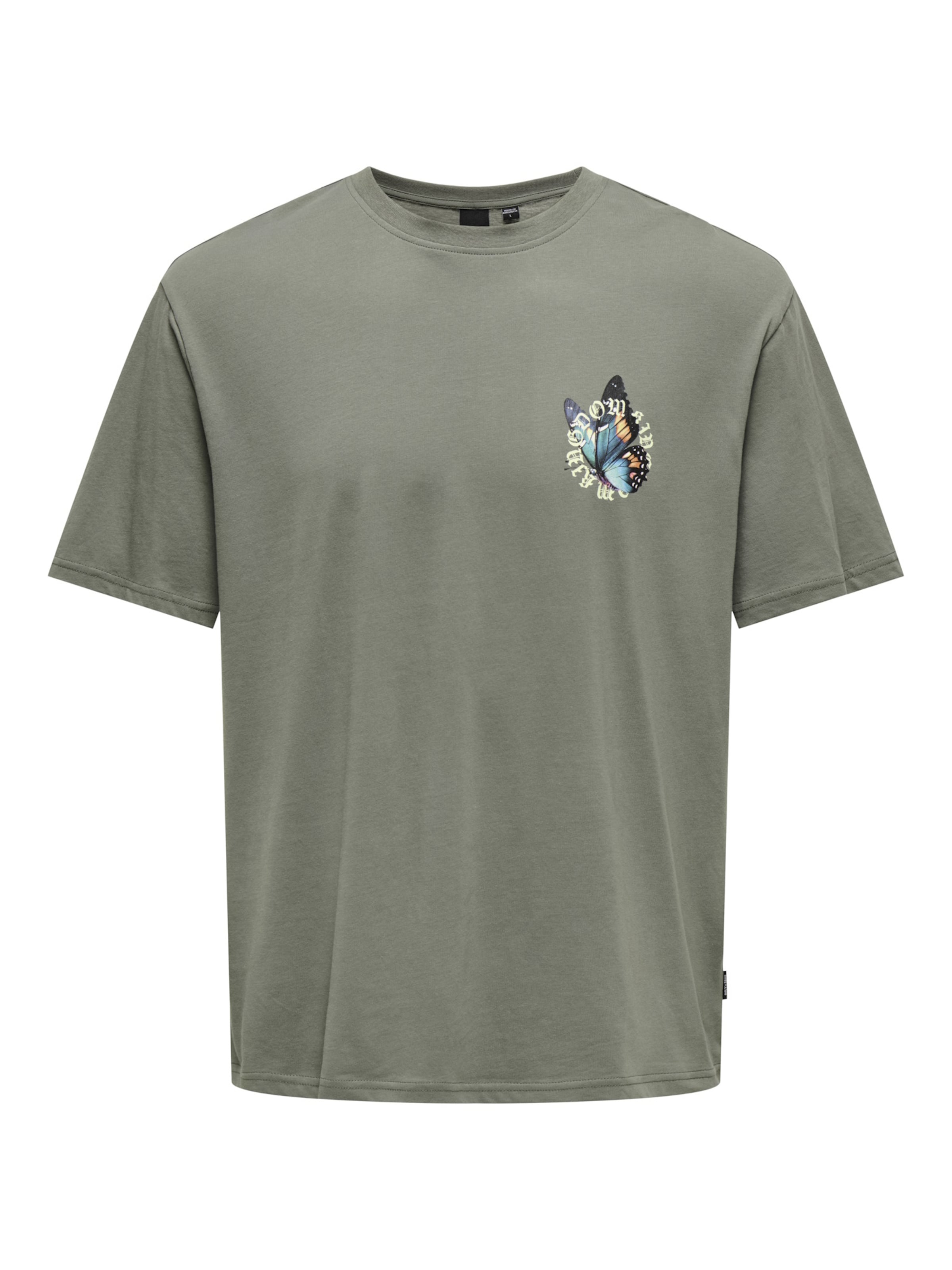 Only & Sons Bluser & t-shirts 'ONSKEANE' i grå: forside