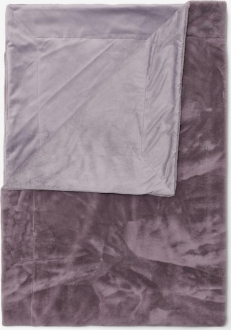 ESSENZA Decke 'Furry' in Lila: Vorderseite