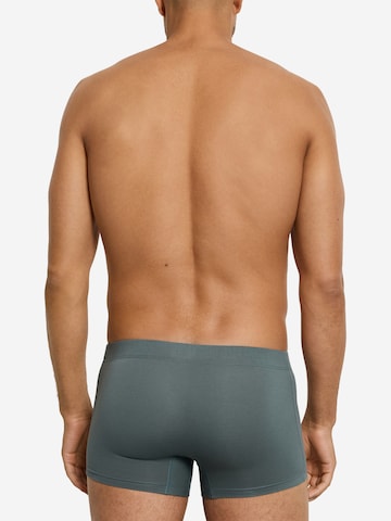 Hanro Boxershorts ' Cotton Essentials ' in Blauw