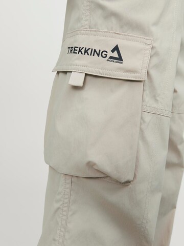 regular Pantaloni cargo 'Karl' di JACK & JONES in grigio