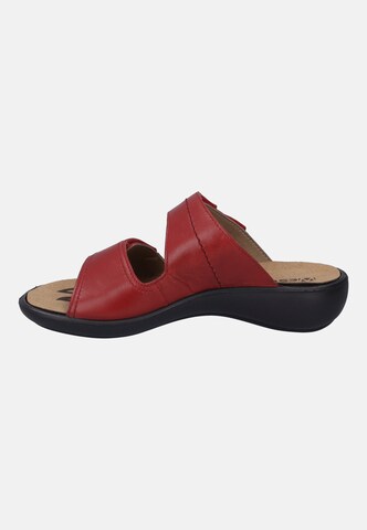 Westland Pantolette in Rot