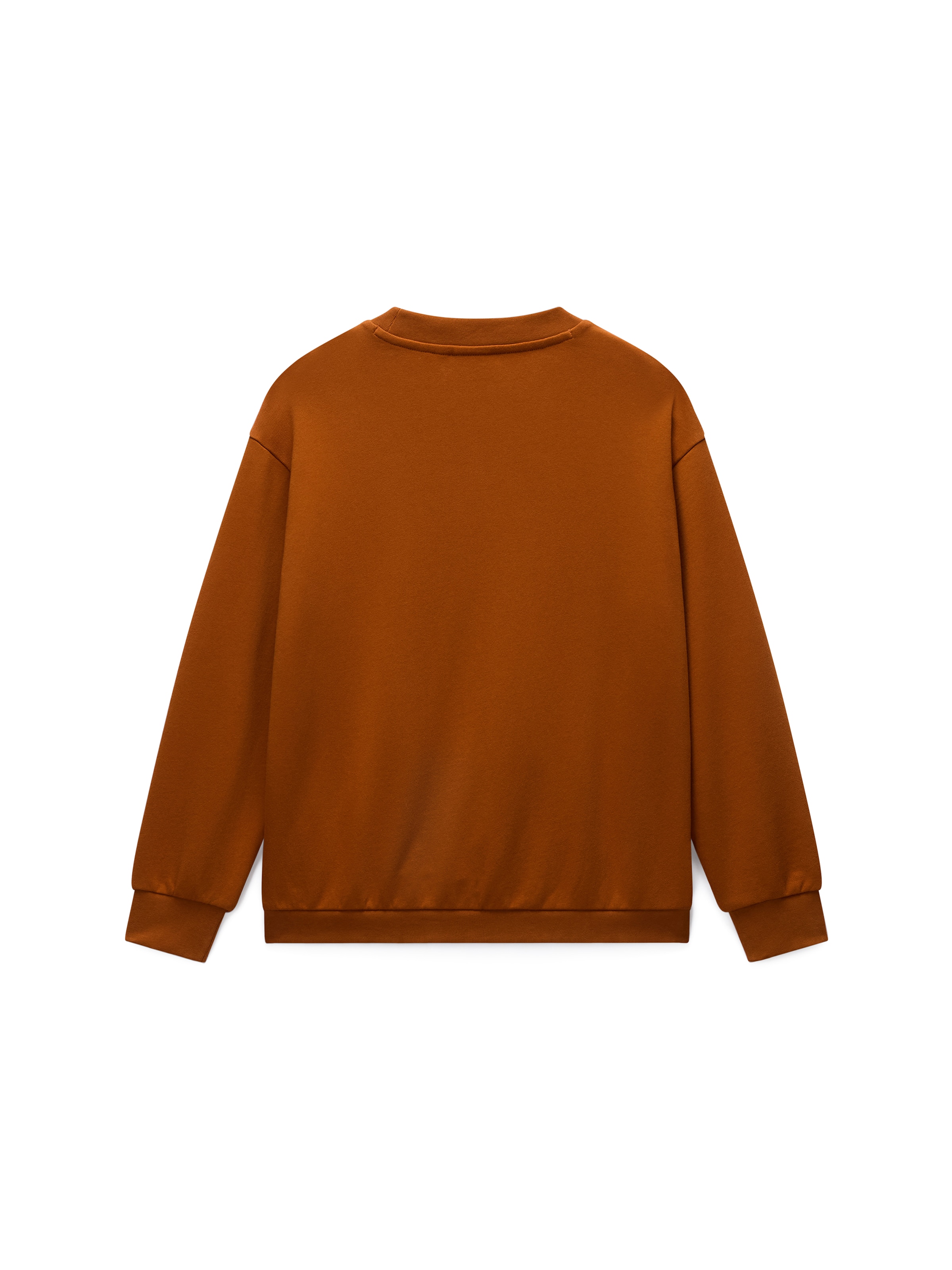 NAPAPIJRI Sweatshirt i brun