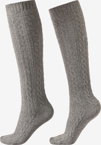 CALZEDONIA Kniestrümpfe in Grau: Vorderseite