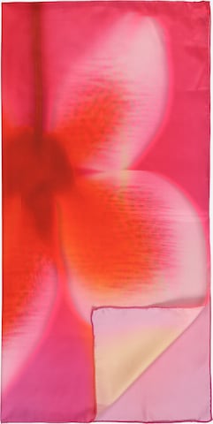 rožinė & Other Stories Skara: priekis