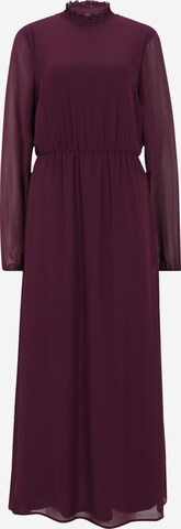 Robe 'ANNIKA' Vila Tall en violet : devant