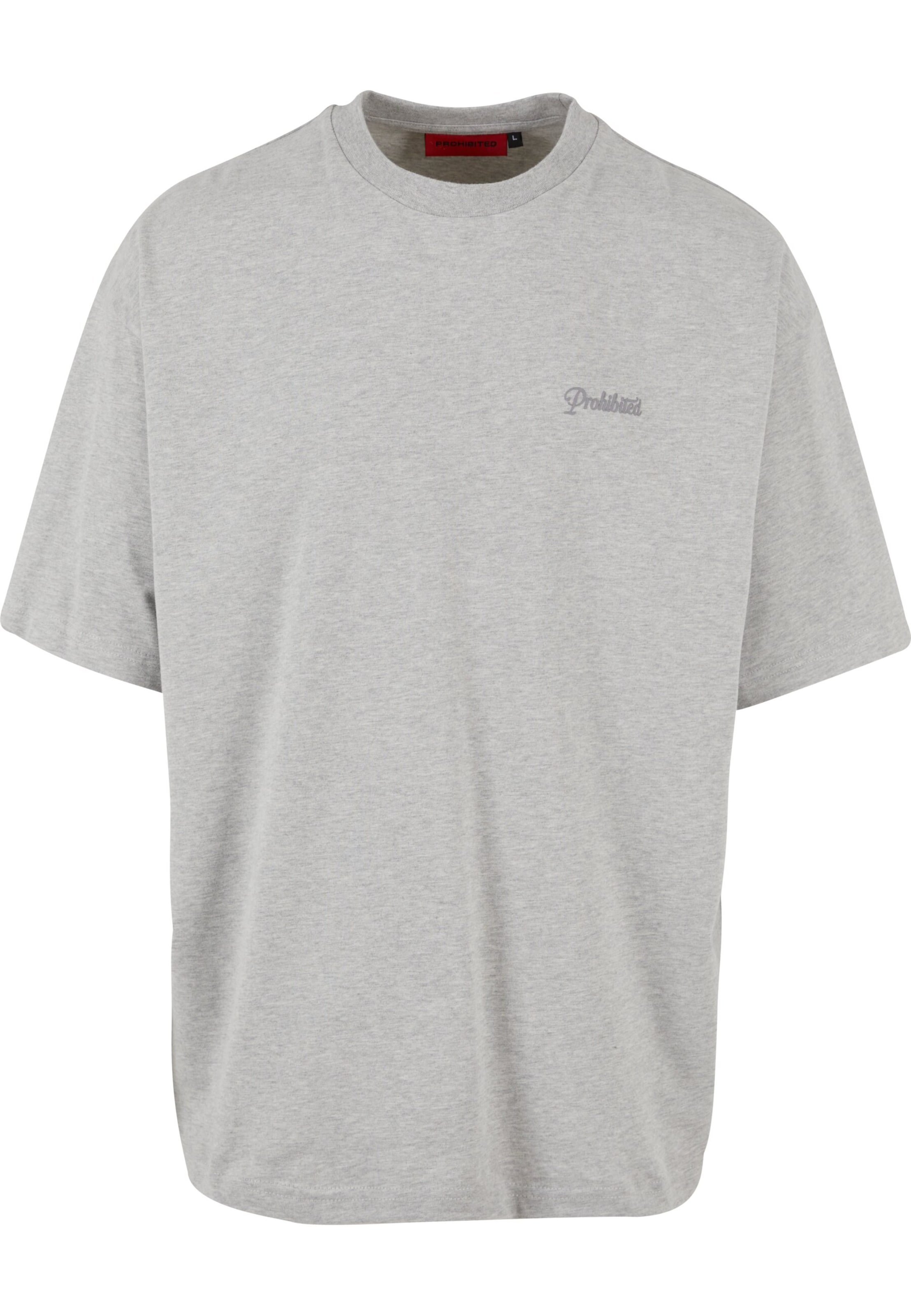 Prohibited T-shirt '10119' i grå: framsida
