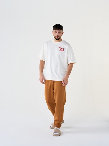 ABOUT YOU x Dardan Loose fit Pants 'Marlo' in Brown