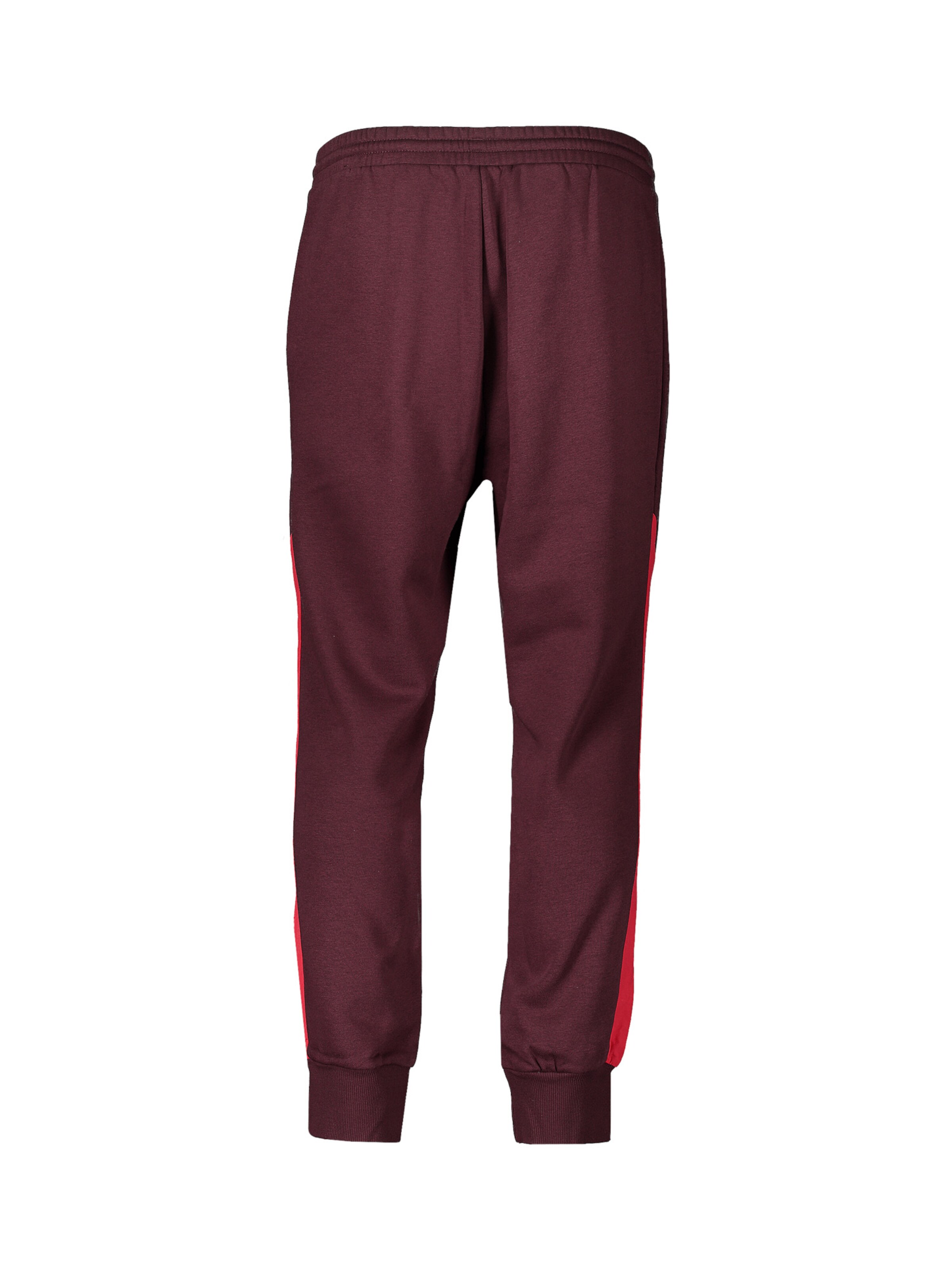 ADIDAS PERFORMANCE Slimfit Sporthose '1. FC Nürnberg' in Rot