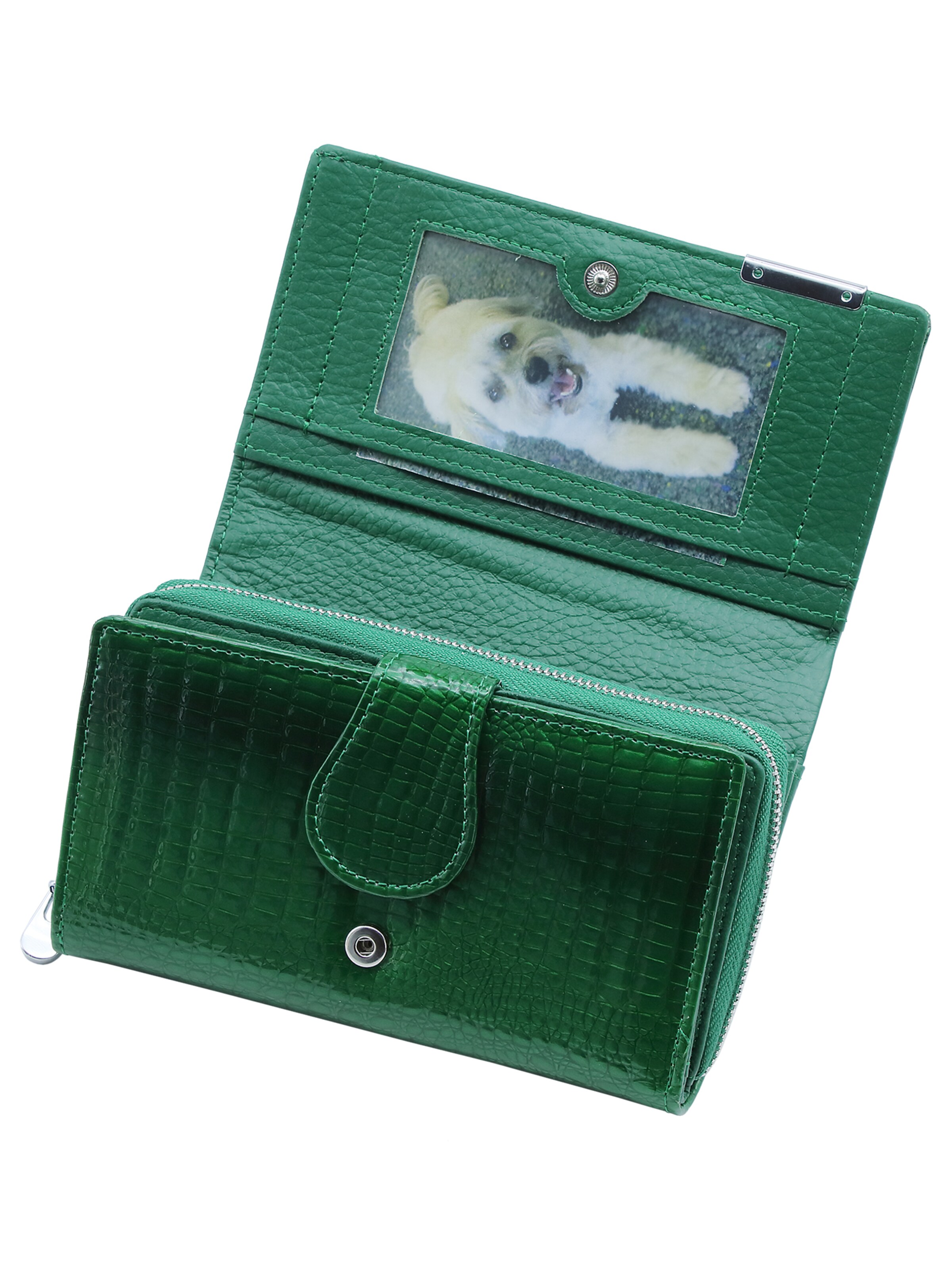 Jennifer Jones Wallet in Green