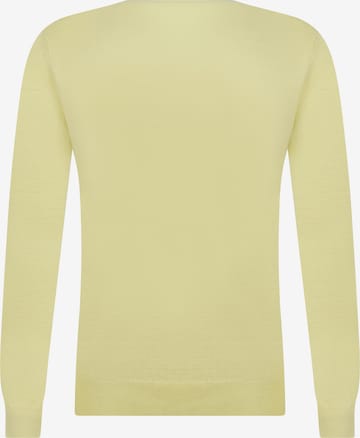DENIM CULTURE Sweter 'Charlize' w kolorze żółty