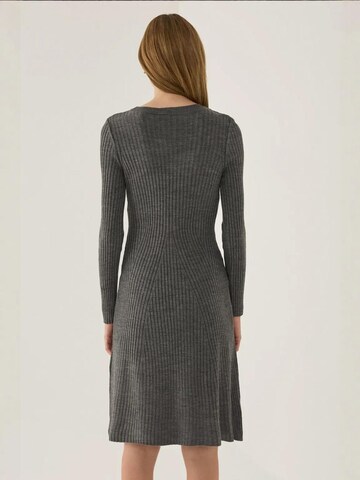Hiccup Kleid in Grau