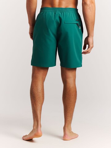 PROTEST Badeshorts 'PRTFilby'‌‌ in Grün