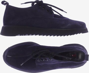 Högl Flats & Loafers in 37 in Blue: front