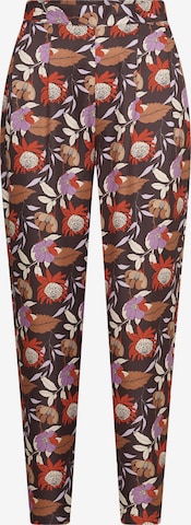 Tapered Pantaloni con pieghe 'Umi Says' di 4funkyflavours in marrone: frontale