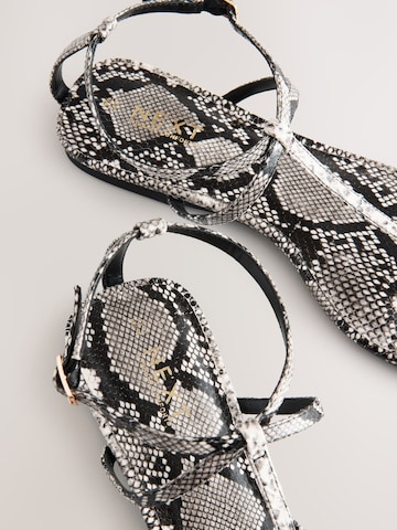 Next - Sandalias con hebilla 'Forever Comfort' en gris