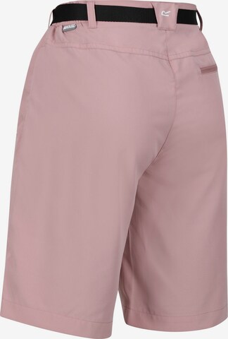 REGATTA Regular Outdoorshorts 'Xert It' in Pink