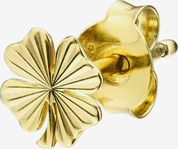 Jane Kønig Korvakoru 'Clover' värissä kulta: etupuoli