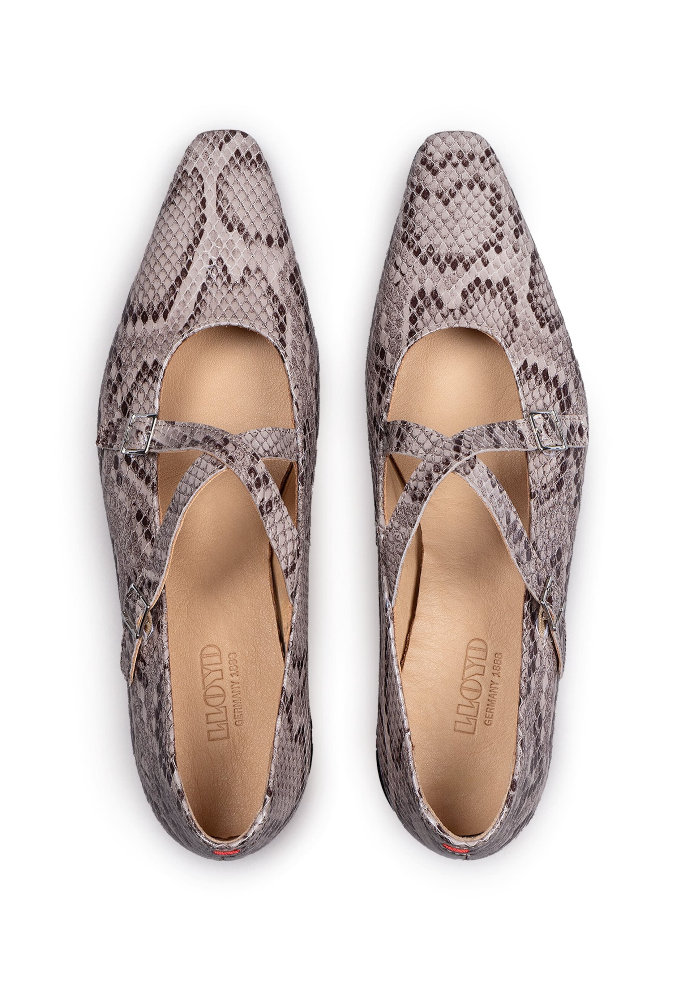 Ballerina di LLOYD in beige