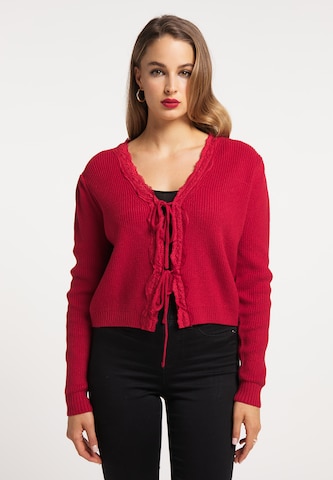 faina Knit Cardigan in Red: front