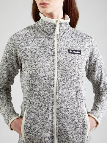 Veste en polaire COLUMBIA en gris